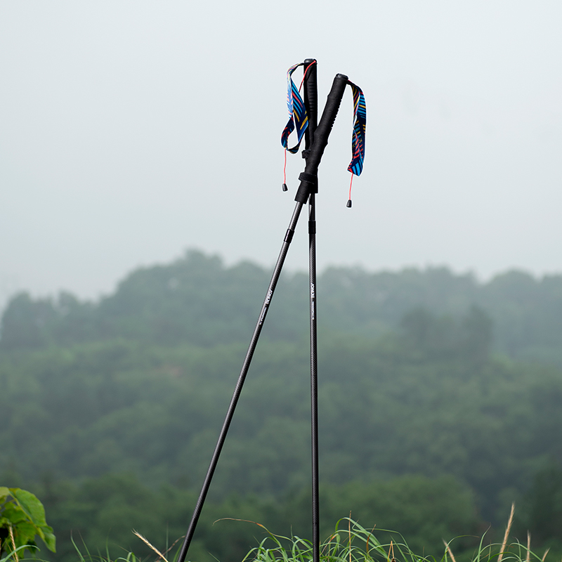 2pcs AONIJIE 접이식 야외 퀵 락 하이킹 폴( - Trekking Pole Carbon 리뷰 및 가격